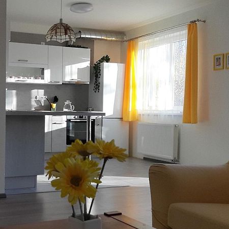 Rodinny Apartman Lucie V Blizkosti Wellness Hotelu Ve Frymburku Bagian luar foto