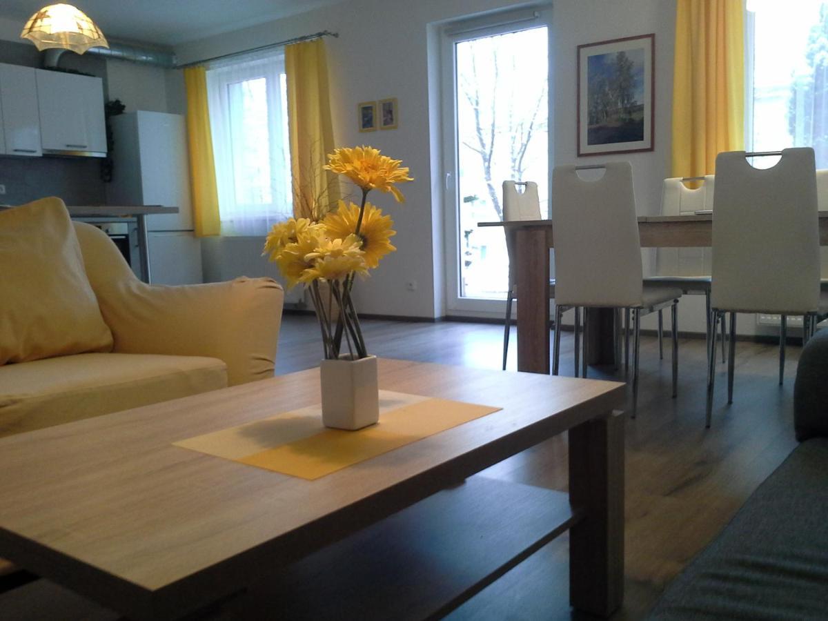 Rodinny Apartman Lucie V Blizkosti Wellness Hotelu Ve Frymburku Bagian luar foto