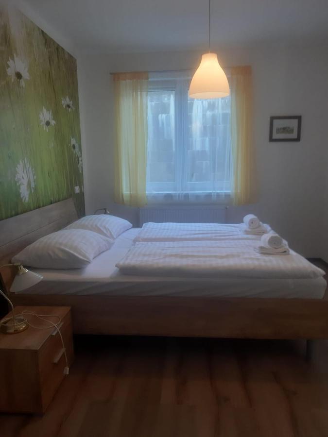 Rodinny Apartman Lucie V Blizkosti Wellness Hotelu Ve Frymburku Bagian luar foto